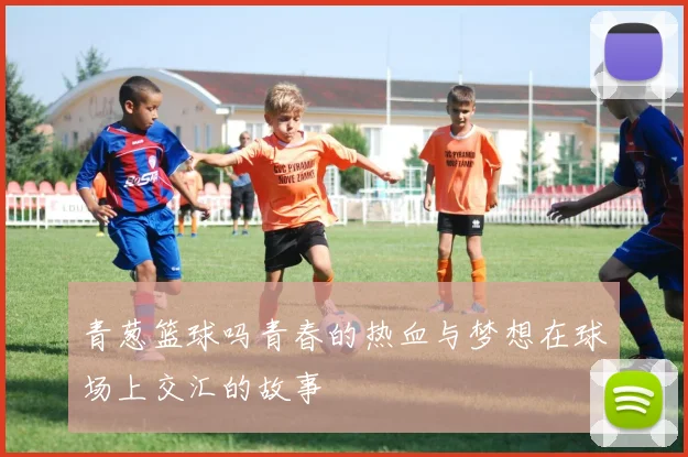 青葱篮球吗青春的热血与梦想在球场上交汇的故事