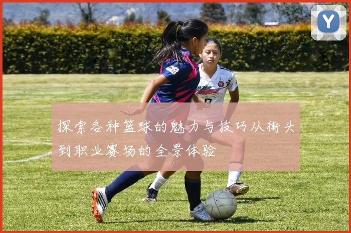 探索各种篮球的魅力与技巧从街头到职业赛场的全景体验