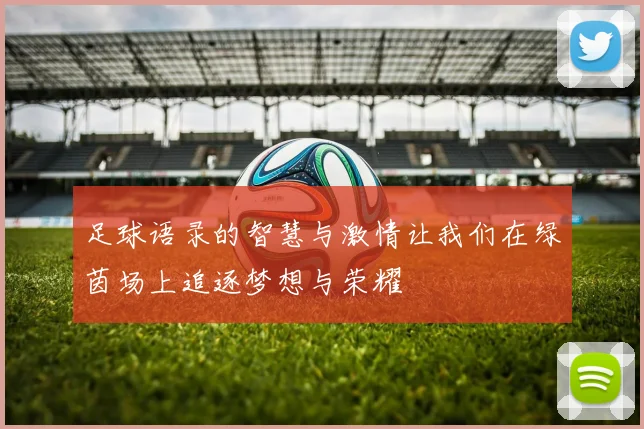 足球语录的智慧与激情让我们在绿茵场上追逐梦想与荣耀