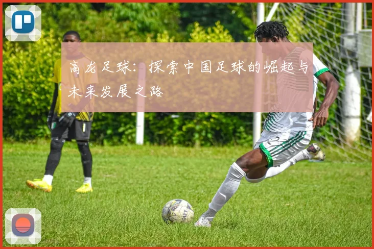 高龙足球：探索中国足球的崛起与未来发展之路
