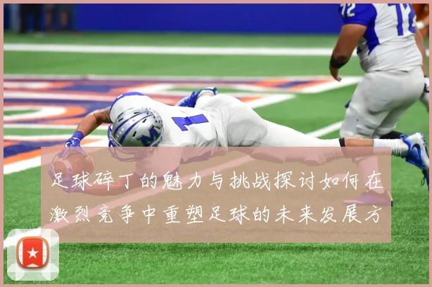 足球碎丁的魅力与挑战探讨如何在激烈竞争中重塑足球的未来发展方向