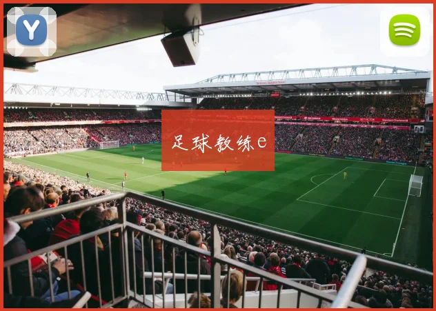 足球教练e