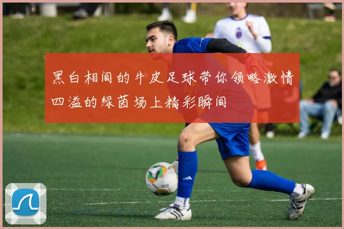 黑白相间的牛皮足球带你领略激情四溢的绿茵场上精彩瞬间