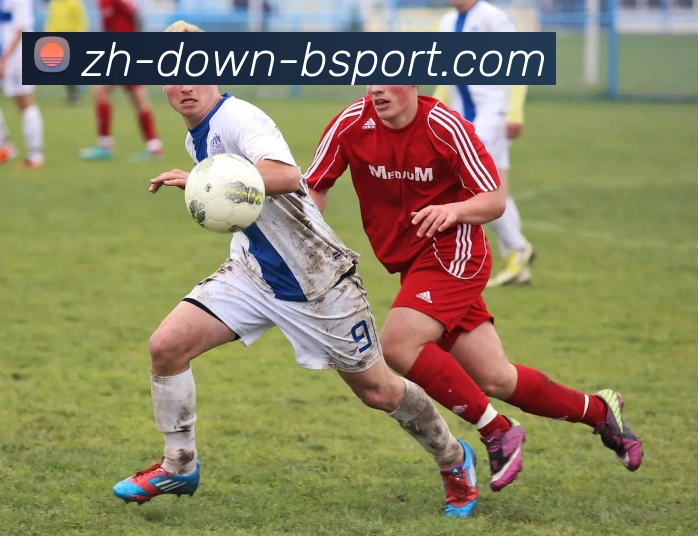 B体育APP 封面图